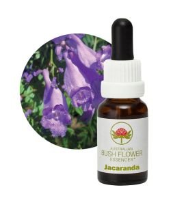 Jacaranda, 15 ml